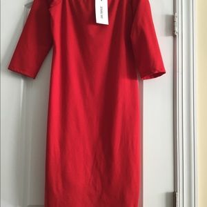 Zara fitted dress with soft shoulder neckline.